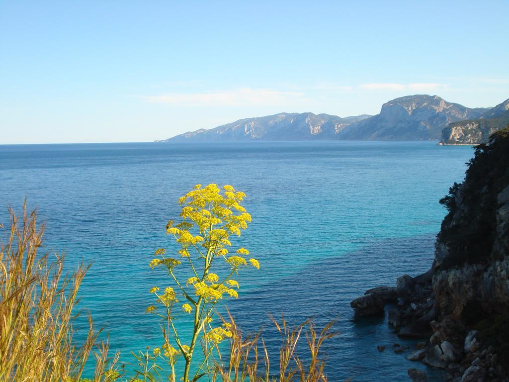 Casa Degli Oleandri Sul Cortile R6314 Διαμέρισμα Cala Gonone Εξωτερικό φωτογραφία